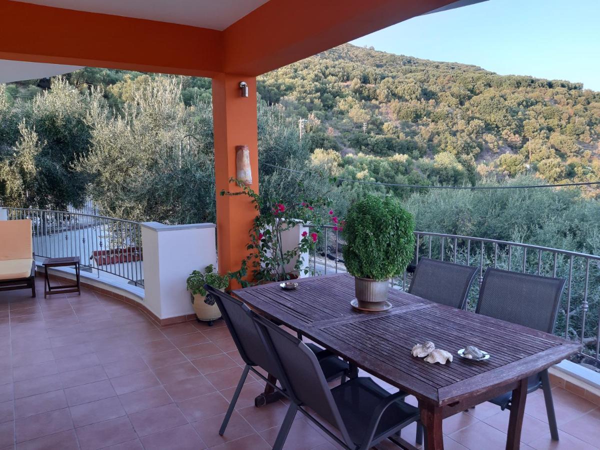 Olive Tree Apartments Parga Luaran gambar